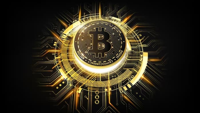 10 Wild Crypto Facts You Never Knew