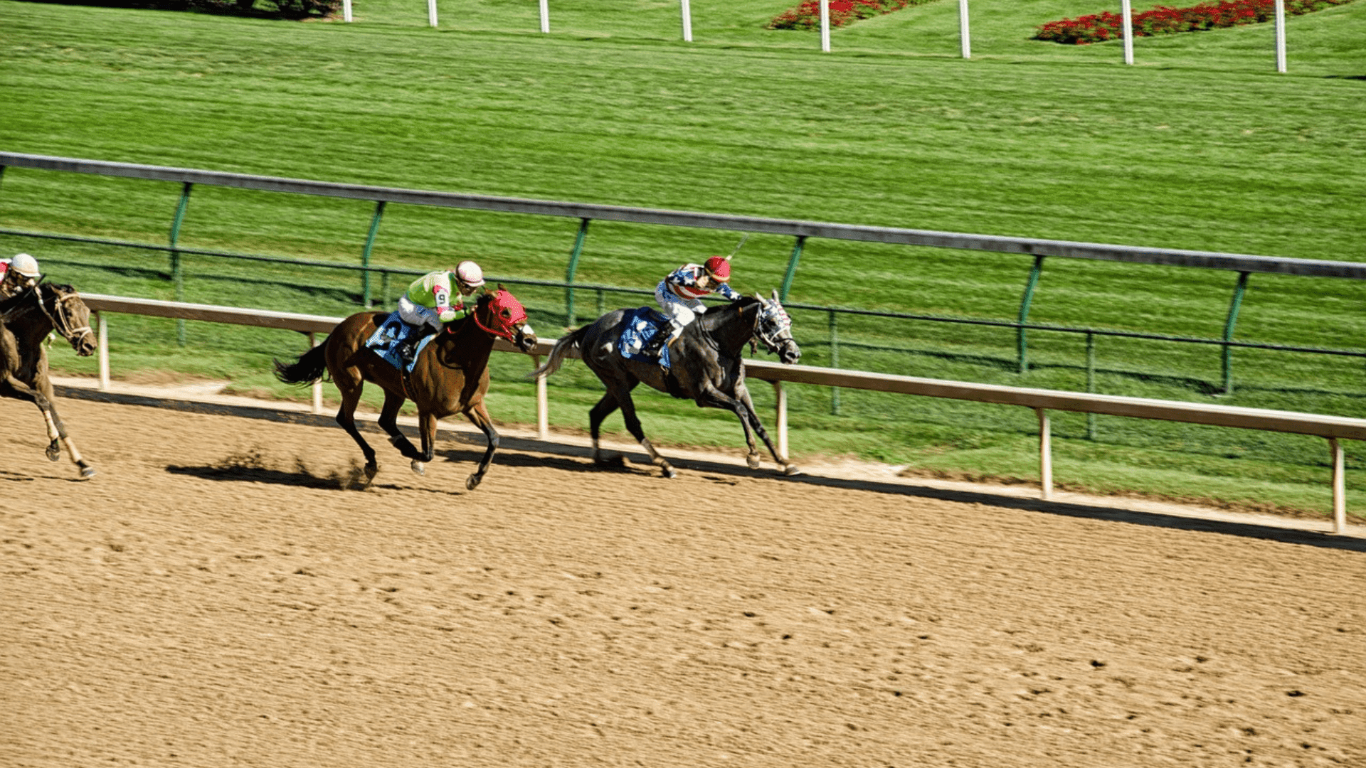 Everything You Need to Know for the 151st Kentucky Derby