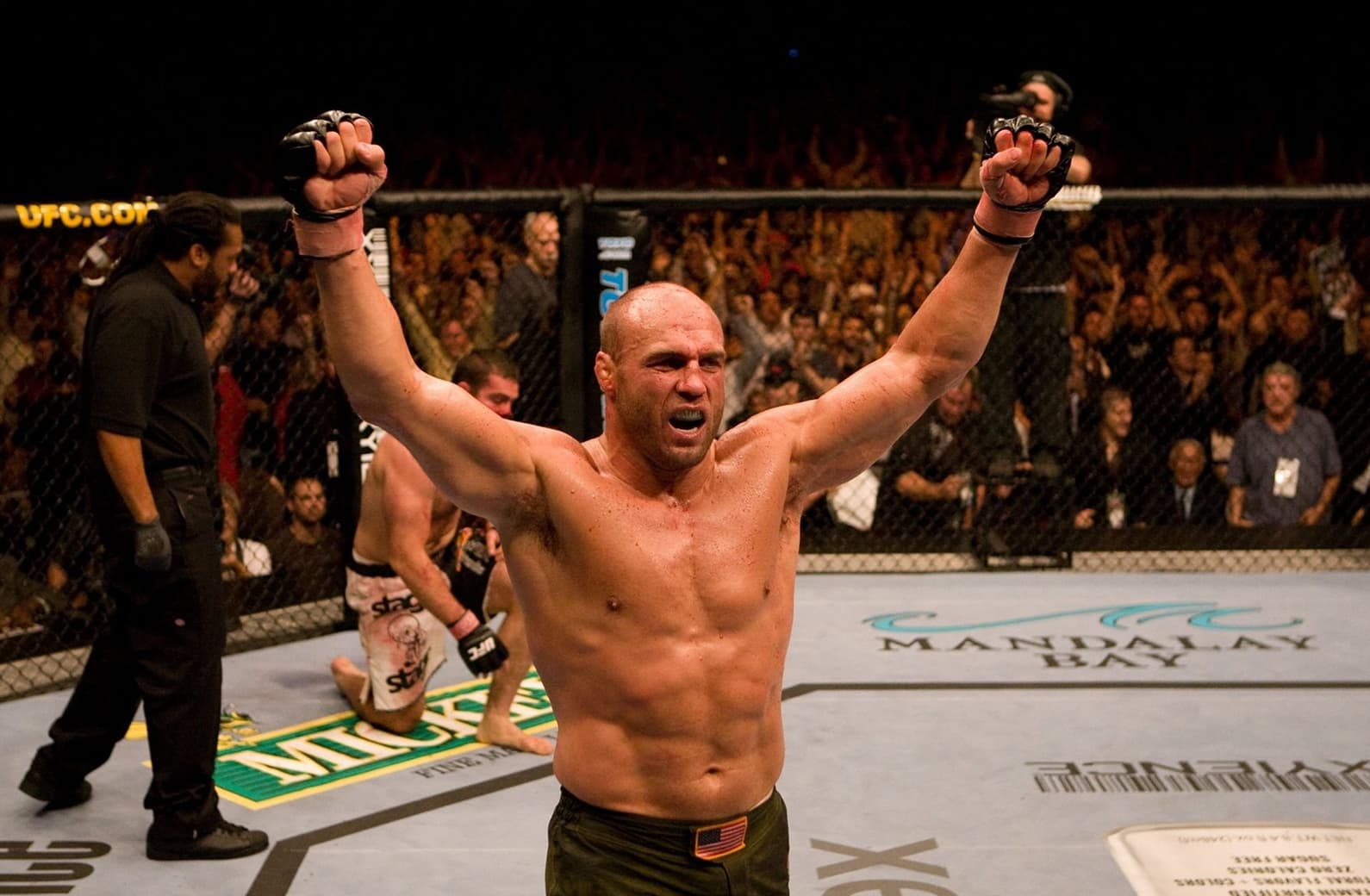 10 Best UFC Heavyweights of All-Time