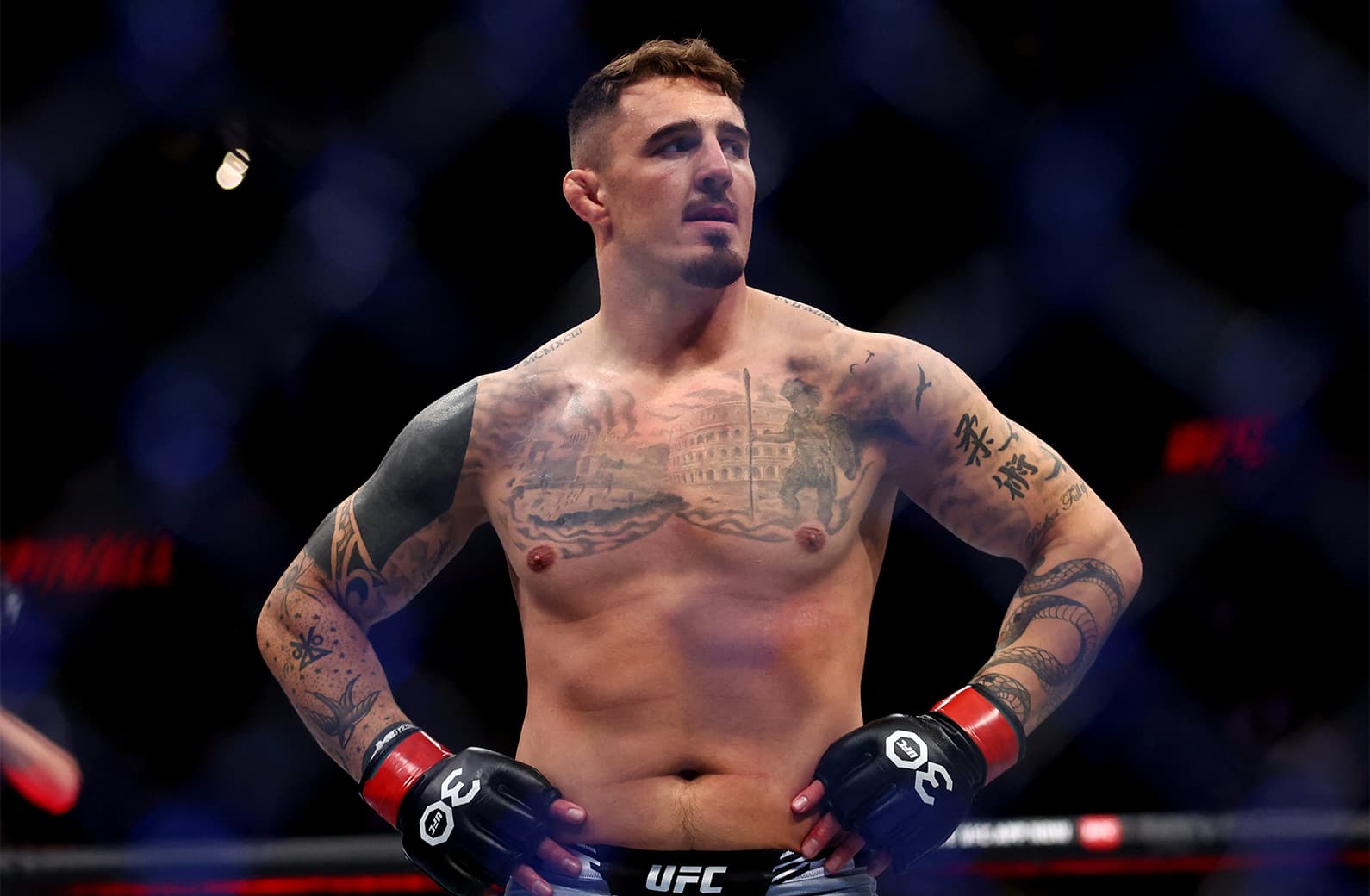 UFC 295 Preview: Prochazka vs Pereira