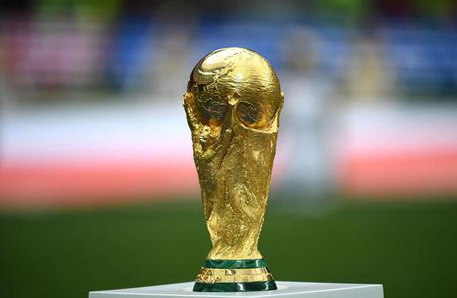 World Cup Predictor Expert Picks | Natasha Turkington