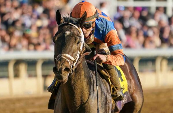 2023 Kentucky Derby Odds